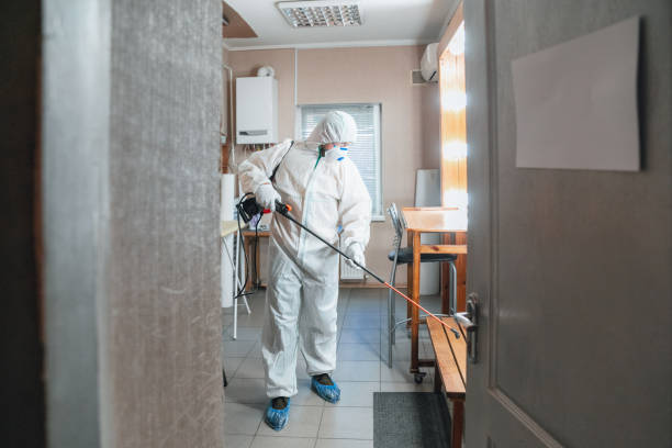 Best Post-Remediation Verification Testing  in Kihei, HI