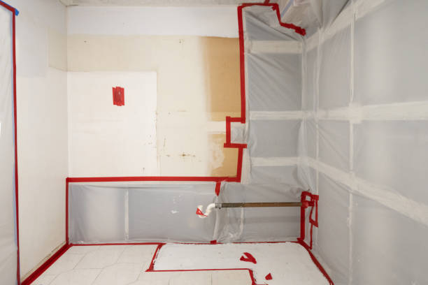 Best Mold Odor Removal Services  in Kihei, HI