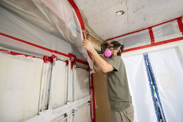 Best Emergency Mold Remediation  in Kihei, HI